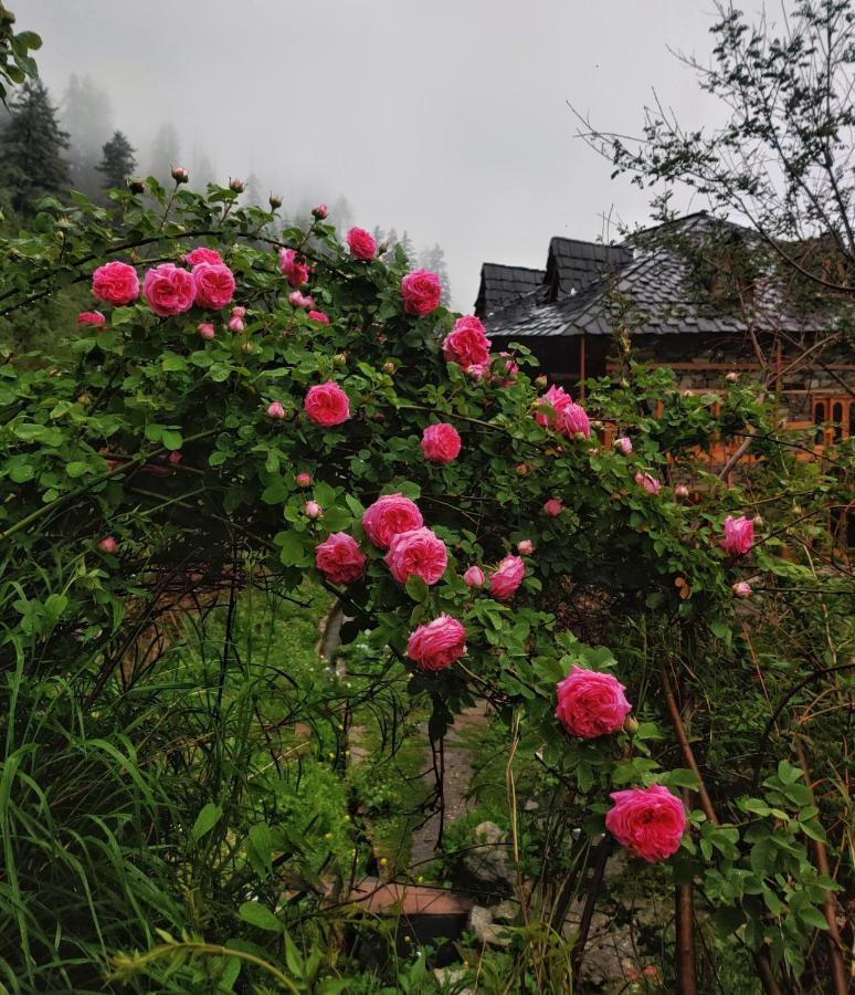 Old Brahma Homestay Kalgha Exteriör bild